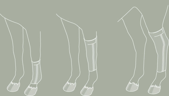 Pressage Veterinary Bandages