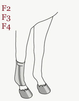 Pressage Fetlock bandage range