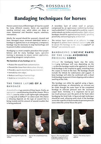 Bandaging techniques for horses